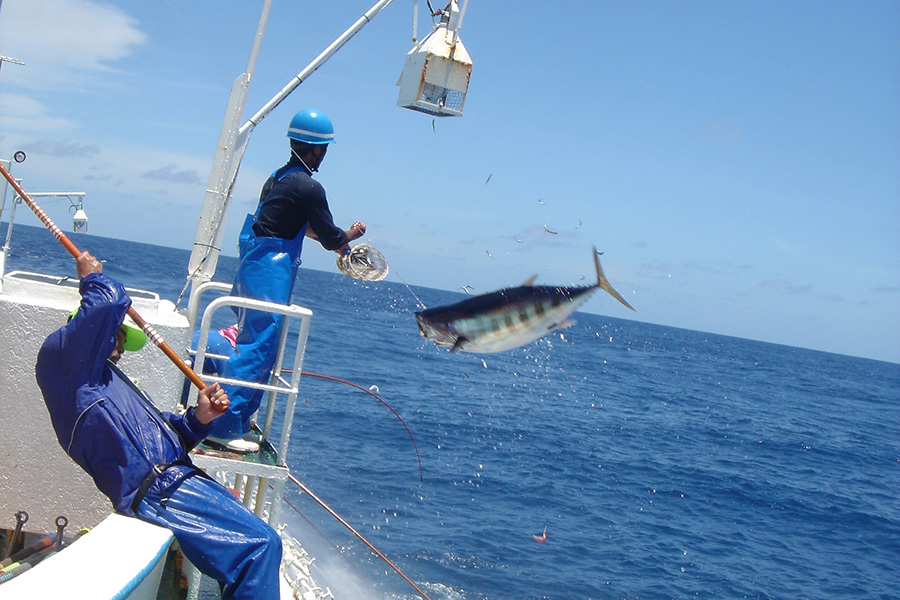 カツオの一本釣り水揚げ日本一の御前崎 日光水産のs1等級カツオ カツオの頂 を取り寄せて カツオ丼 づくり 出版社のダイヤモンド社が主催する ダイヤモンド経営者倶楽部